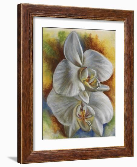 Evening Orchid-Barbara Keith-Framed Giclee Print