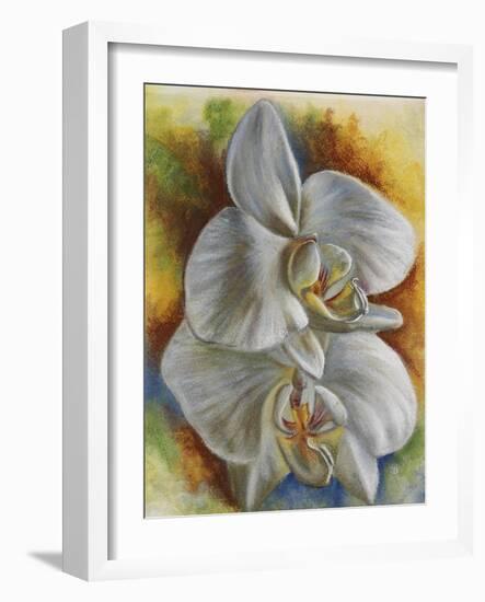 Evening Orchid-Barbara Keith-Framed Giclee Print