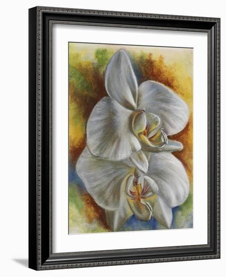 Evening Orchid-Barbara Keith-Framed Giclee Print