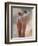 Evening Out 1-Marc Taylor-Framed Art Print