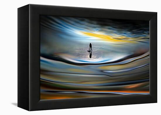 Evening Paddle-Ursula Abresch-Framed Premier Image Canvas