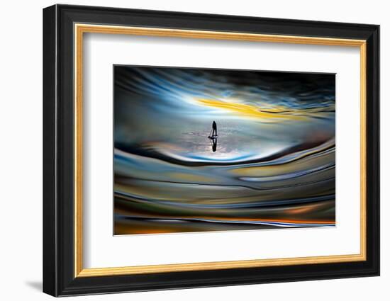 Evening Paddle-Ursula Abresch-Framed Photographic Print