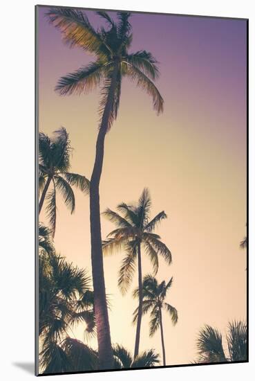 Evening Palms-Emily Navas-Mounted Art Print