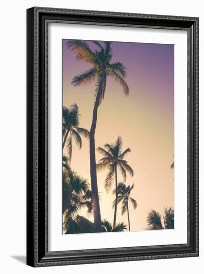 Evening Palms-Emily Navas-Framed Art Print