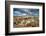 Evening Primrose in Grand Staircase Escalante National Monument-Howie Garber-Framed Photographic Print