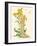 Evening Primrose Nymph, 1889-Walter Crane-Framed Giclee Print