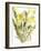 Evening primroses; 2004-Claudia Hutchins-Puechavy-Framed Giclee Print