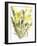 Evening primroses; 2004-Claudia Hutchins-Puechavy-Framed Giclee Print