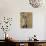 Evening Radiance-Bridget Davies-Giclee Print displayed on a wall