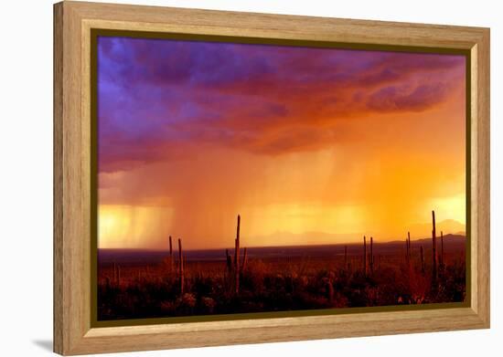 Evening Rain-Douglas Taylor-Framed Premier Image Canvas