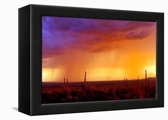 Evening Rain-Douglas Taylor-Framed Premier Image Canvas