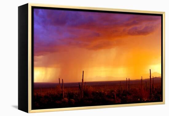 Evening Rain-Douglas Taylor-Framed Premier Image Canvas