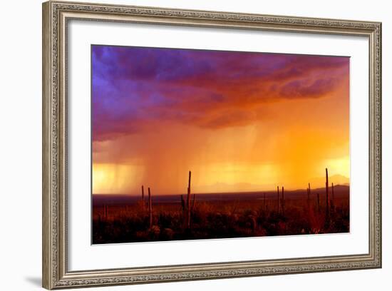 Evening Rain-Douglas Taylor-Framed Photographic Print