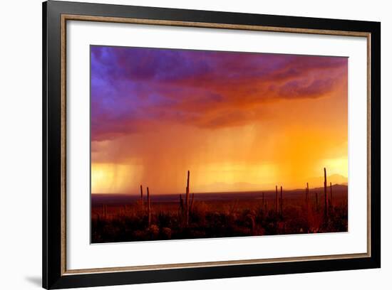 Evening Rain-Douglas Taylor-Framed Photographic Print