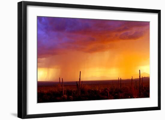 Evening Rain-Douglas Taylor-Framed Photographic Print