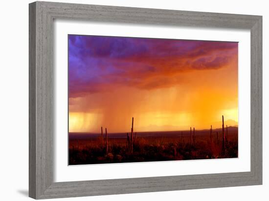 Evening Rain-Douglas Taylor-Framed Photographic Print