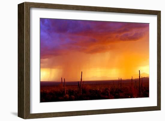 Evening Rain-Douglas Taylor-Framed Photographic Print
