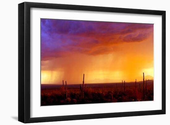 Evening Rain-Douglas Taylor-Framed Photographic Print