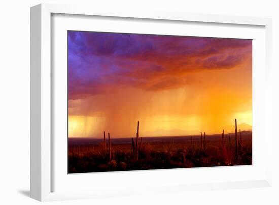 Evening Rain-Douglas Taylor-Framed Photographic Print