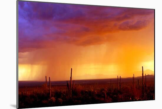 Evening Rain-Douglas Taylor-Mounted Photographic Print