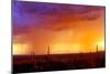 Evening Rain-Douglas Taylor-Mounted Photographic Print