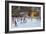 Evening, Rockerfeller Ice Rink, New York-Andrew Macara-Framed Giclee Print