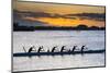 Evening Rowing in the Bay of Apia, Upolu, Samoa, South Pacific-Michael Runkel-Mounted Photographic Print