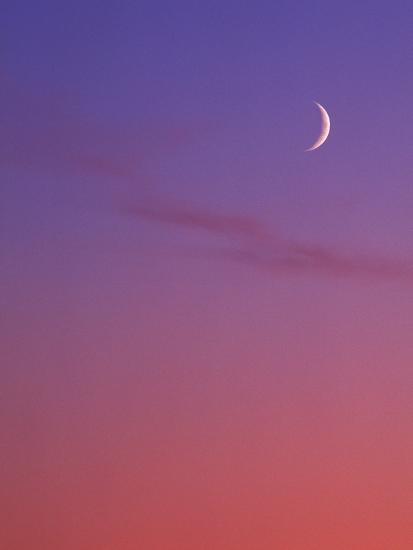 Evening Sky In Magenta With Crescent Moon Background Canada Photographic Print Chris Cheadle Art Com Evening Sky In Magenta With Crescent Moon Background Canada Photographic Print Chris Cheadle Art Com