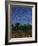 Evening Star-James W Johnson-Framed Giclee Print