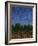 Evening Star-James W Johnson-Framed Giclee Print