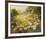 Evening Sun-Mary Dipnall-Framed Giclee Print