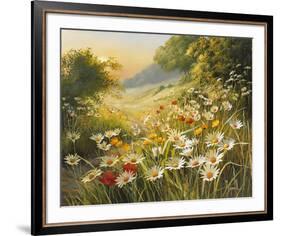 Evening Sun-Mary Dipnall-Framed Giclee Print