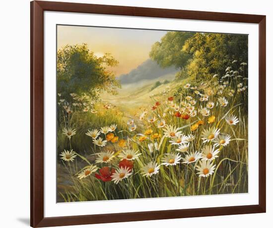 Evening Sun-Mary Dipnall-Framed Giclee Print