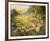 Evening Sun-Mary Dipnall-Framed Giclee Print