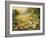 Evening Sun-Mary Dipnall-Framed Premium Giclee Print