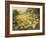 Evening Sun-Mary Dipnall-Framed Premium Giclee Print