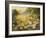 Evening Sun-Mary Dipnall-Framed Premium Giclee Print