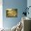 Evening Sun-Mary Dipnall-Premium Giclee Print displayed on a wall