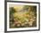 Evening Sun-Mary Dipnall-Framed Premium Giclee Print