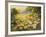 Evening Sun-Mary Dipnall-Framed Premium Giclee Print