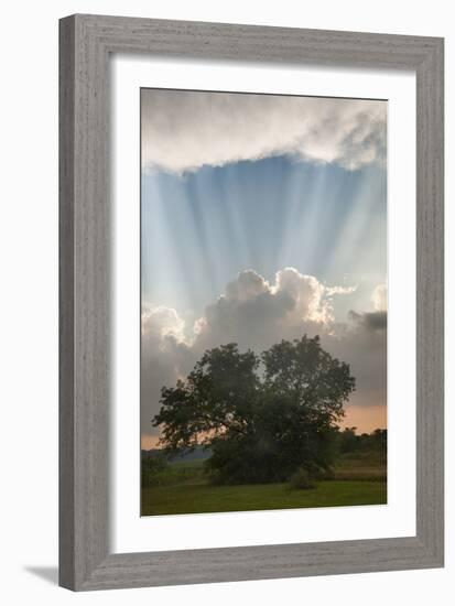 Evening Sunbeams, Sturgis, Michigan ‘10-Monte Nagler-Framed Photographic Print