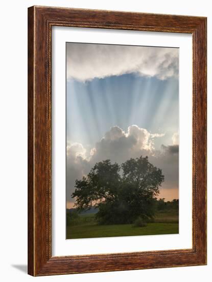 Evening Sunbeams, Sturgis, Michigan ‘10-Monte Nagler-Framed Photographic Print