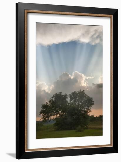 Evening Sunbeams, Sturgis, Michigan ‘10-Monte Nagler-Framed Photographic Print