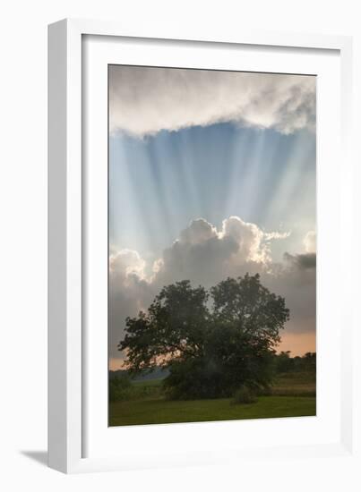 Evening Sunbeams, Sturgis, Michigan ‘10-Monte Nagler-Framed Photographic Print