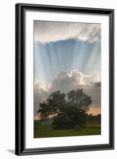 Evening Sunbeams, Sturgis, Michigan ‘10-Monte Nagler-Framed Photographic Print