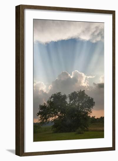 Evening Sunbeams, Sturgis, Michigan ‘10-Monte Nagler-Framed Photographic Print