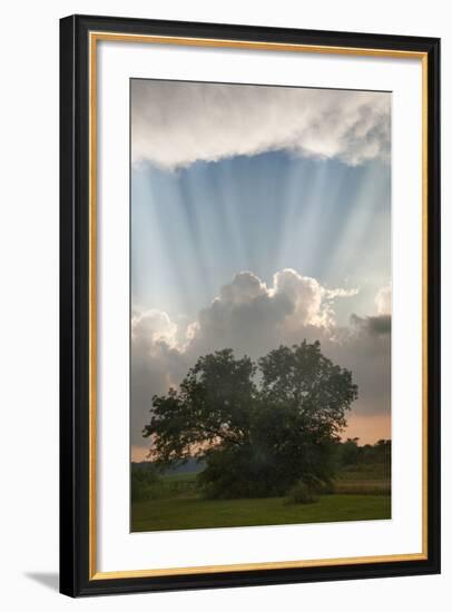 Evening Sunbeams, Sturgis, Michigan ‘10-Monte Nagler-Framed Photographic Print