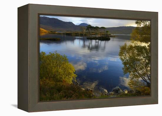 Evening Sunlight, Loch Assynt, National Nature Reserve, Sutherland, Highlands, Scotland, UK-Peter Richardson-Framed Premier Image Canvas