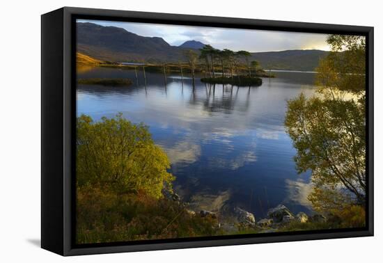 Evening Sunlight, Loch Assynt, National Nature Reserve, Sutherland, Highlands, Scotland, UK-Peter Richardson-Framed Premier Image Canvas