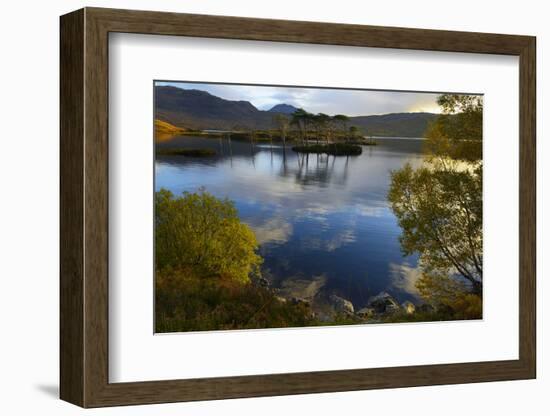 Evening Sunlight, Loch Assynt, National Nature Reserve, Sutherland, Highlands, Scotland, UK-Peter Richardson-Framed Photographic Print